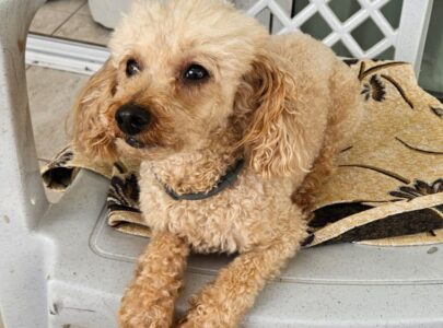 ЧЁРНО-БЕЛОЕ МЫШЛЕНИЕ. Когнитивное искажение.